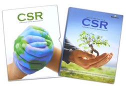 Egyéni értékek szerepe a CSR-központú vállalatirányításban